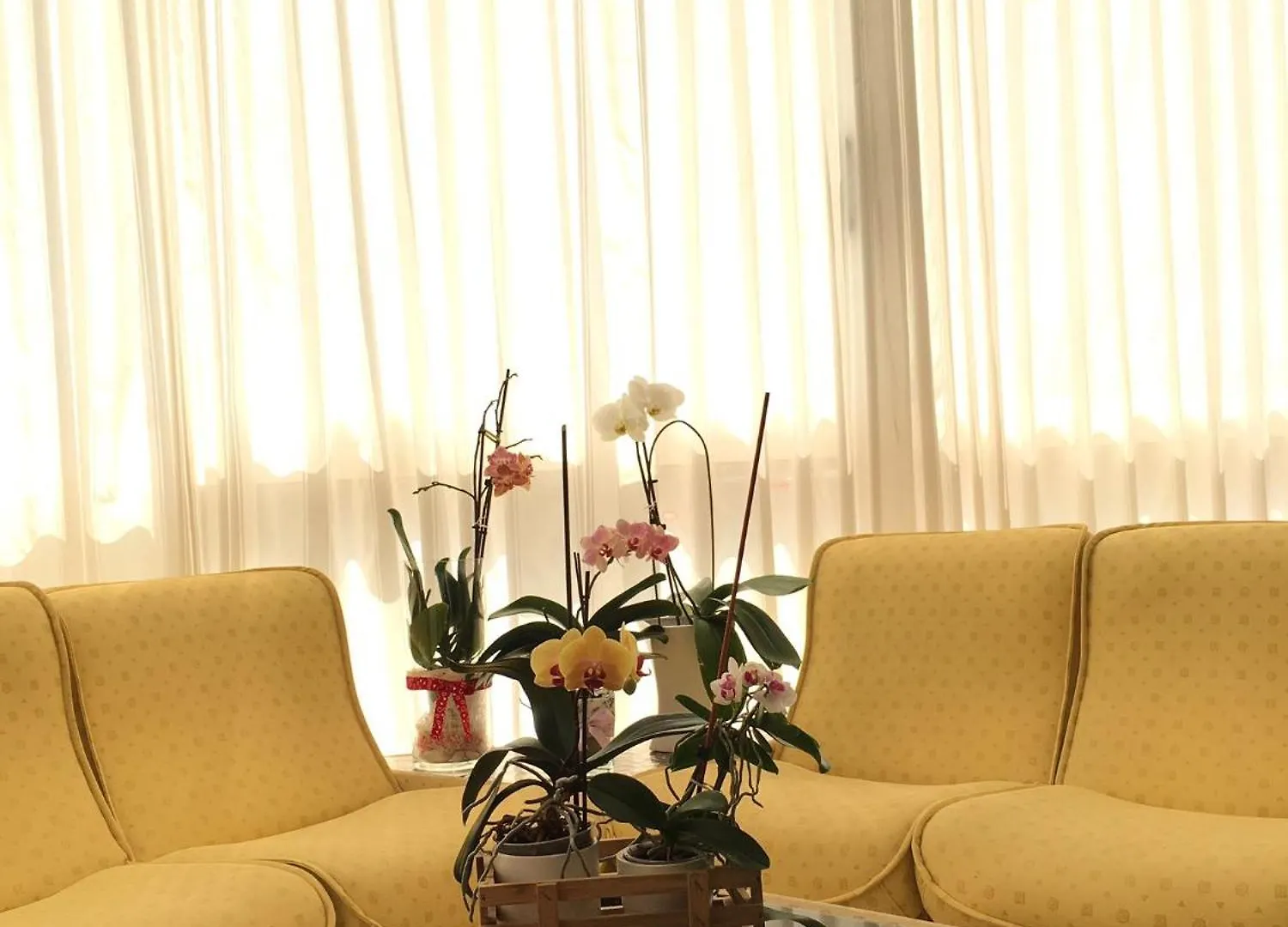 Hotel Imperiale Cesenatico
